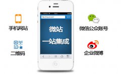 手机网站目前优化有哪